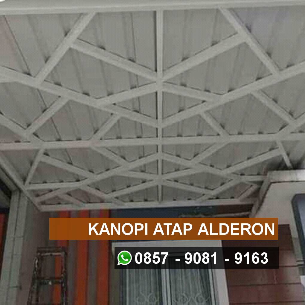 Kanopi alderon